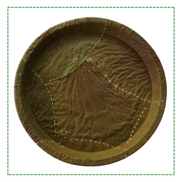 10" Round Plate | 22 oz | Compostable Palm Leaf